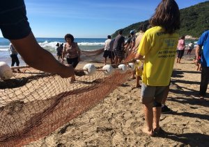 Pesca Artesanal da Tainha na Praia do Retiro dos Padres, em Bombinhas. Fonte: Features Design/Victor Novack.