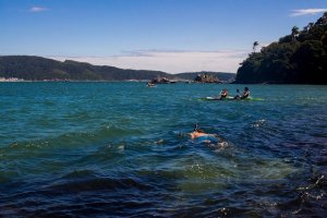 Devido a tranquilidade das águas, a praia não possui correntezas fortes, possibilitando a exploração até mesmo para iniciantes. A dica é conhecer o local antes de visitar os dois outros points de mergulho. 2 # Praias da Lagoinha e Sepultura Entre as praias mais requisitadas de Bombinhas, a Praia da Lagoinha e a Praia da Sepultura são dignas de comparação com as praias do Caribe. Os locais possuem águas tranquilas, como a Praia de Bombinhas. Mergulho nas praias da Lagoinha e Sepultura em Bombinhas. Fonte: Features Design.